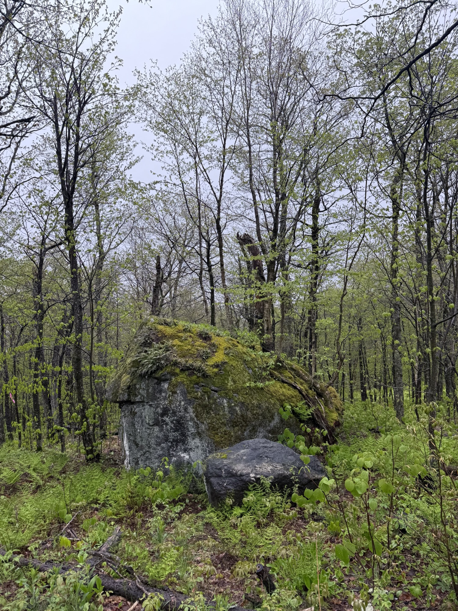 Boulder on a mountain